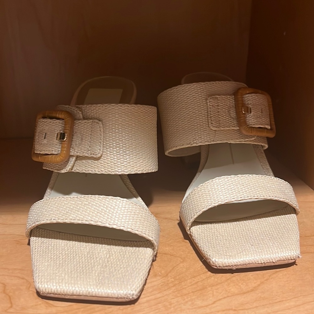 Gently worn Dolce Vita sandals